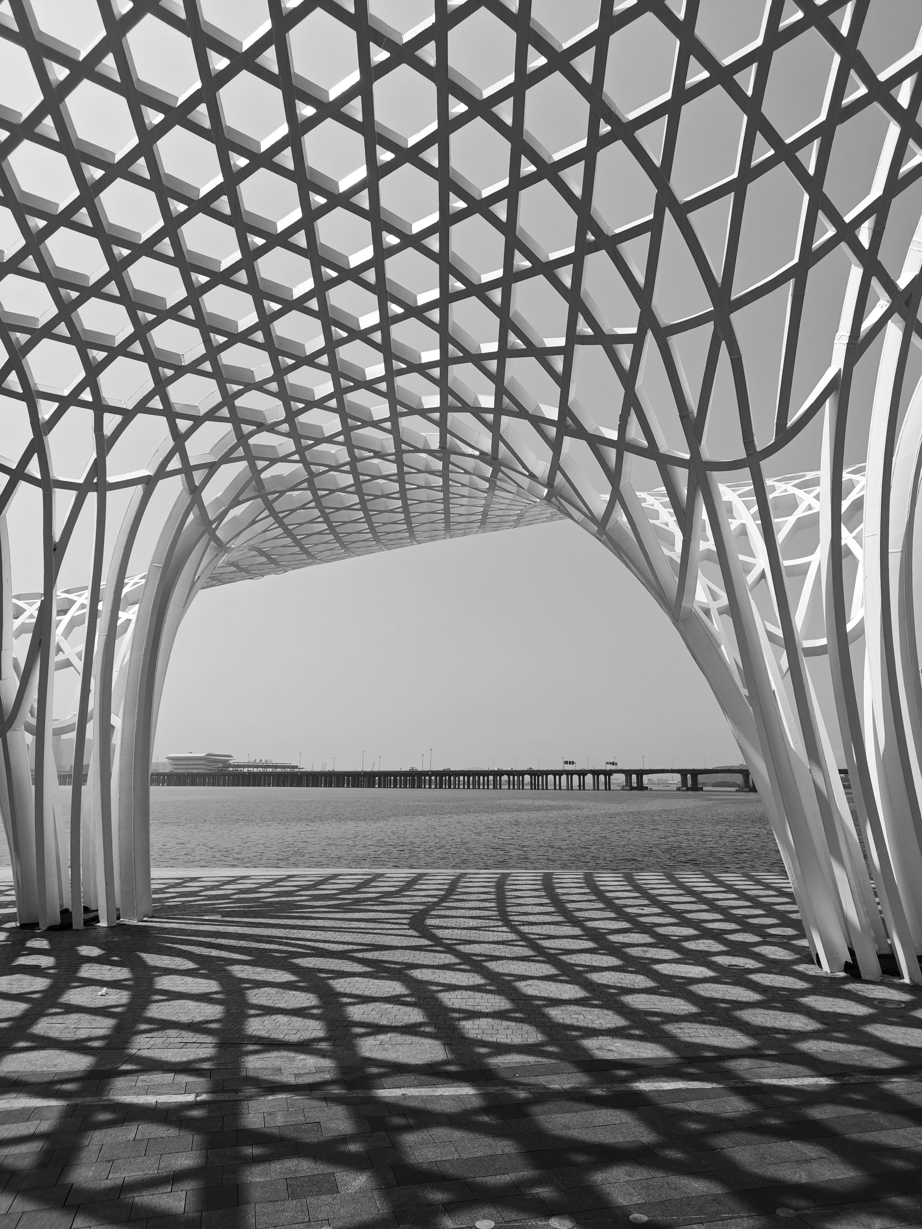 A black and white version of the previous image, showing the same white lattice canopy and its intricate shadows on the ground. The monochrome filter emphasizes the high contrast between the bright structural lines and the dark geometric shadows, as well as the textures of the water and the distant bridge in the background.