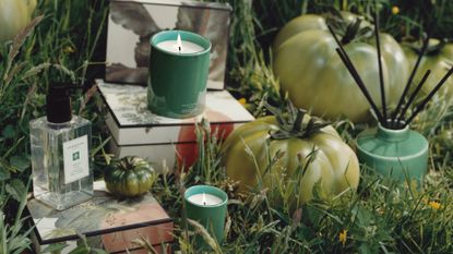 A green reed diffuser, scented candles, and hand wash from Jo Malone London in a garden surrounded by green heirloom tomatoes
