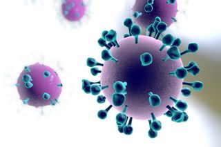 The flu shot stimulates immunity against a protein called hemagglutinin, which extends from the surface of the flu virus. Hemagglutinin (shown here as little spikes) has a "head" and a "stem."