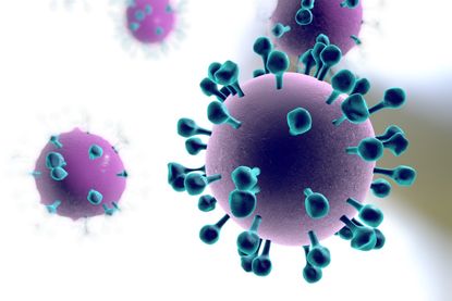 The flu shot stimulates immunity against a protein called hemagglutinin, which extends from the surface of the flu virus. Hemagglutinin (shown here as little spikes) has a "head" and a "stem."
