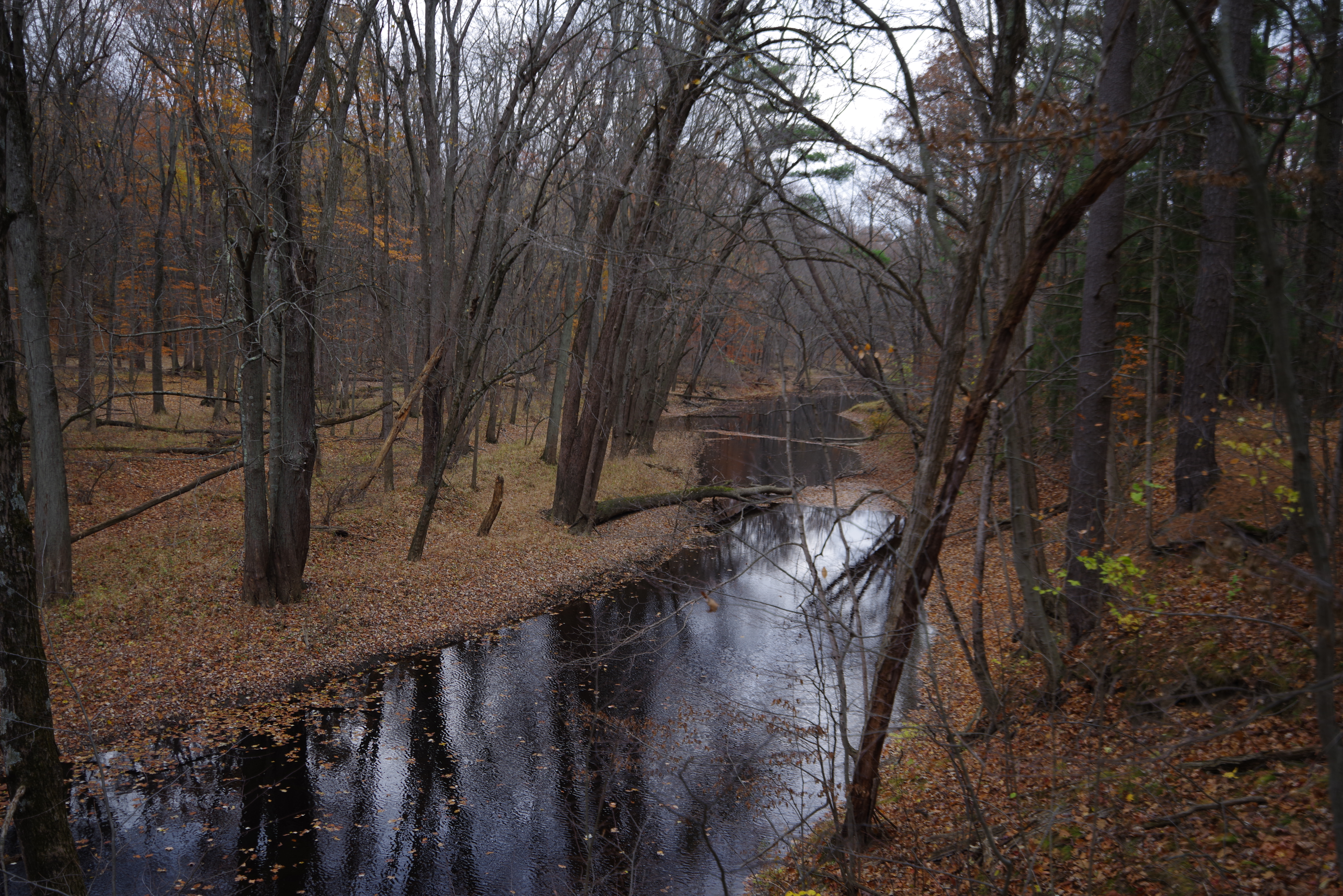 An image shot with the Pentax 15-30mm f/2.8 and the Pentax K-1 Mark II