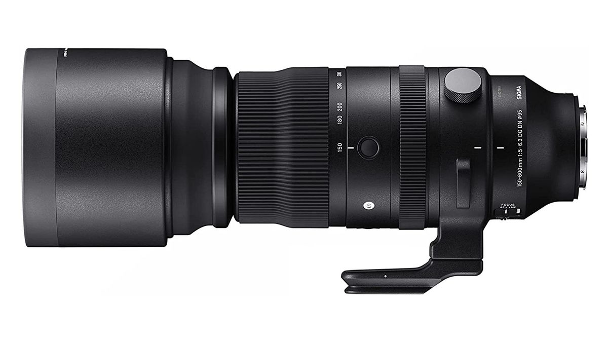 The best lenses for bird photography in 2024 Digital Camera World