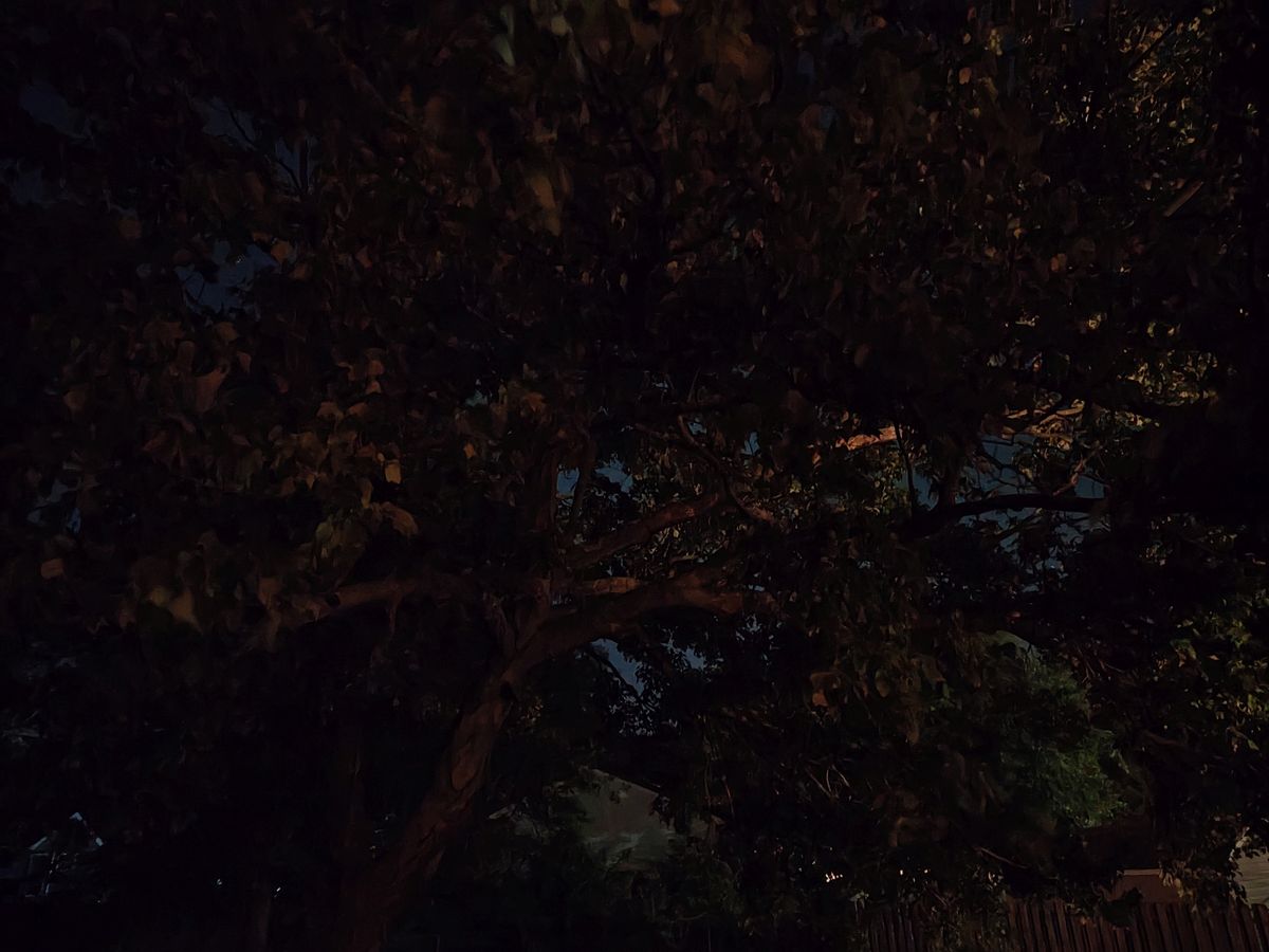 Motorola Razr Plus 2024 low light sample.