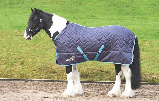 Masta Avante 300g Stable rug [1]