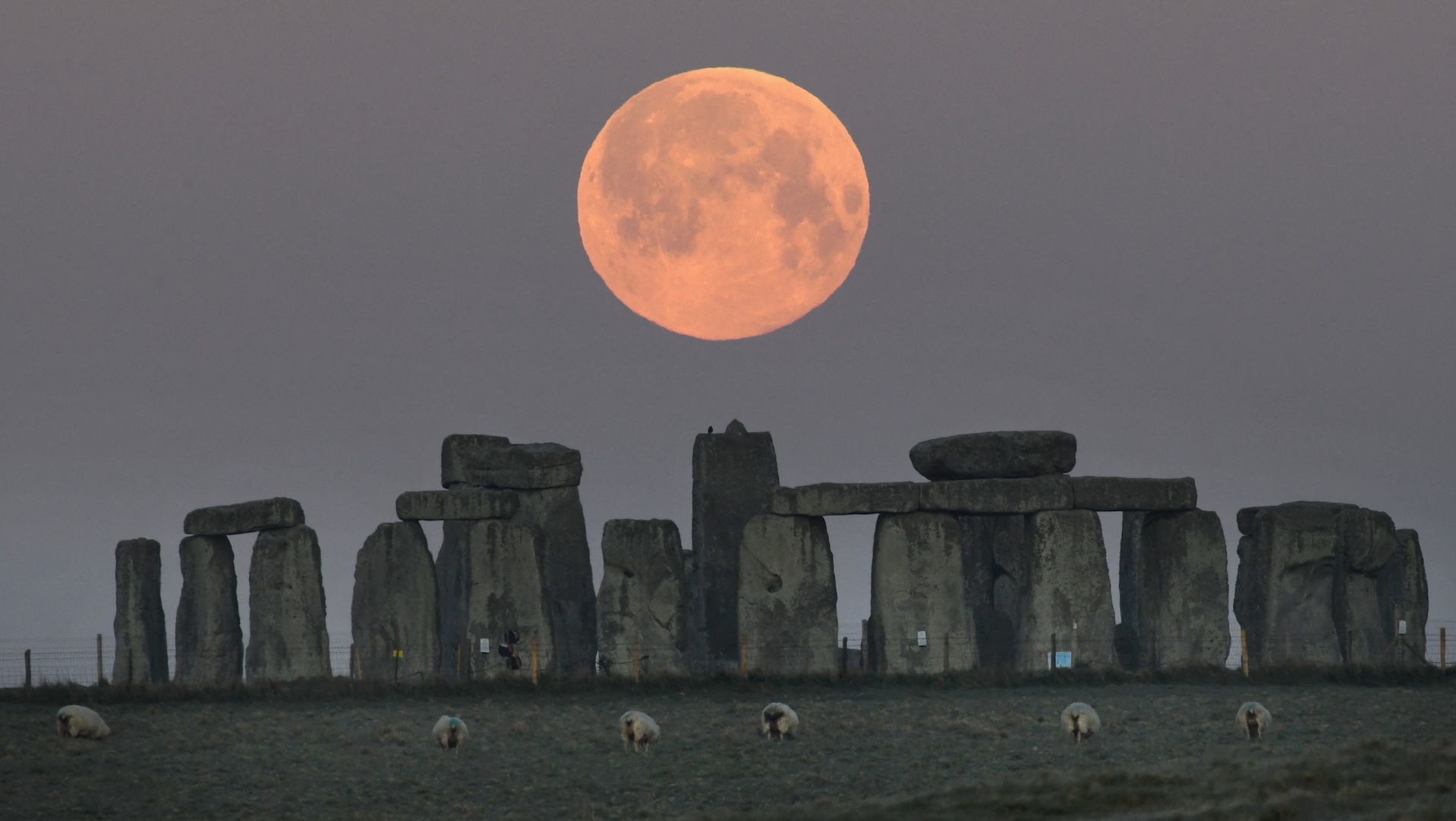 'Major lunar standstill' may reveal if Stonehenge is aligned with the moon