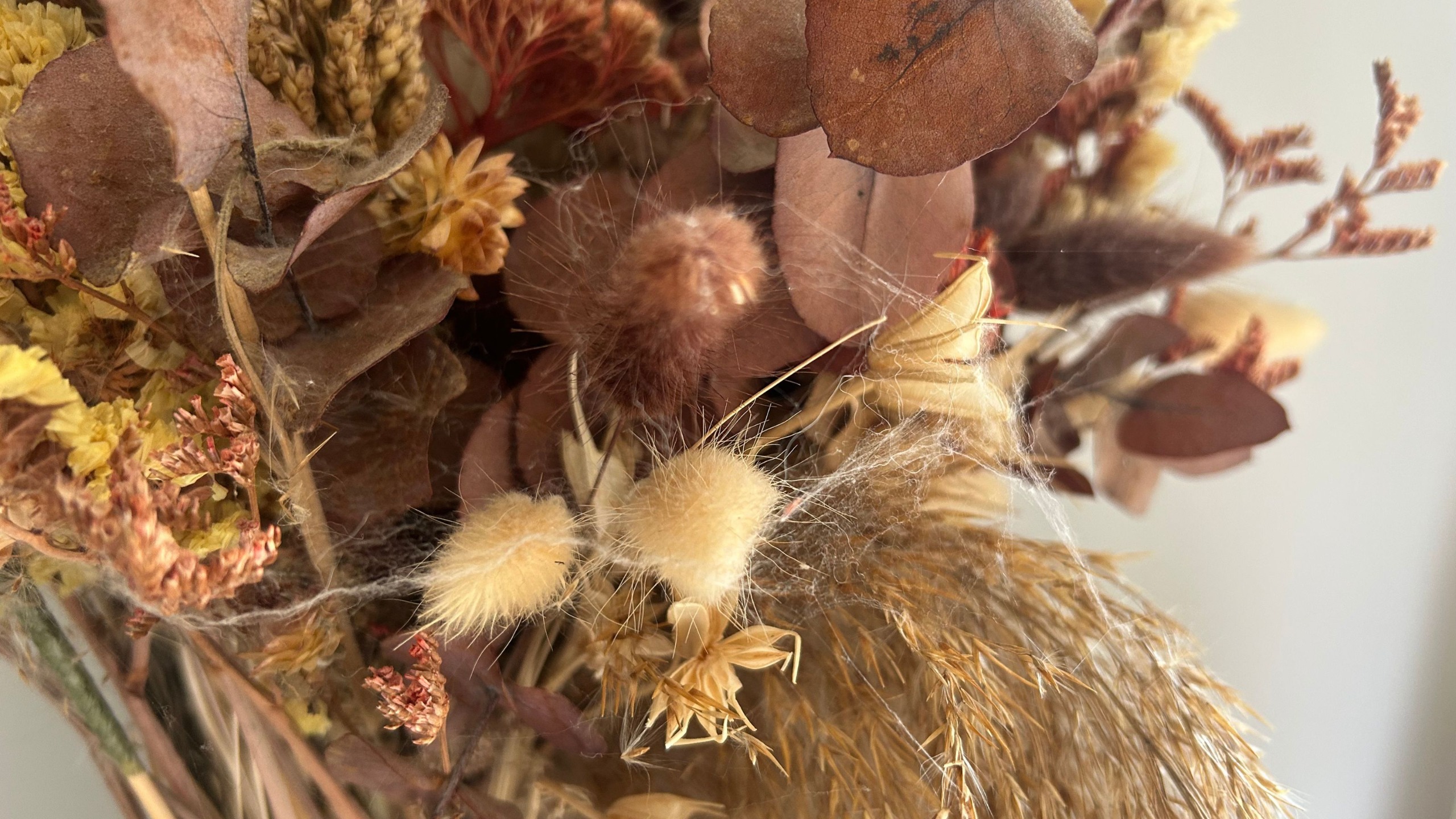 Dried flower bouquet with spider web in