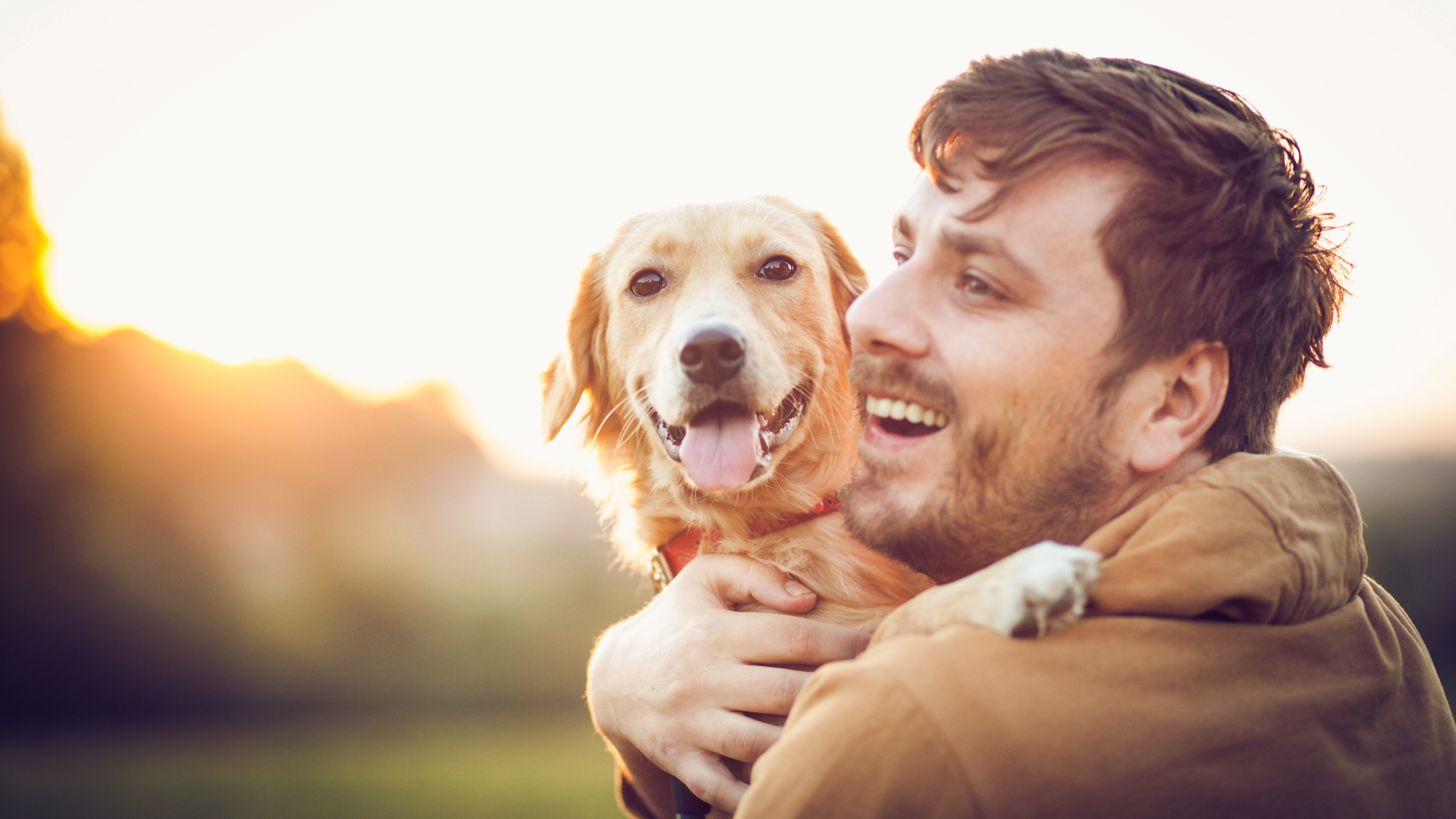 The one thing you should never do if you want a happy relationship with your dog