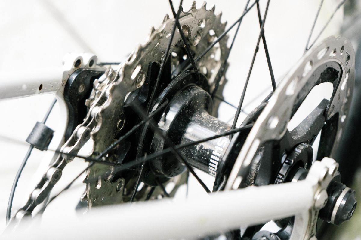The rear hub of a gravel bike