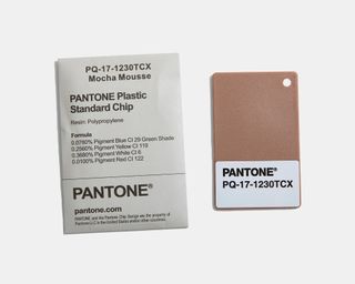 light brown color chip with white Pantone label