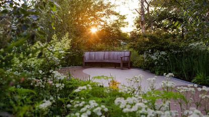 gardening for mental health: Horatio's Garden