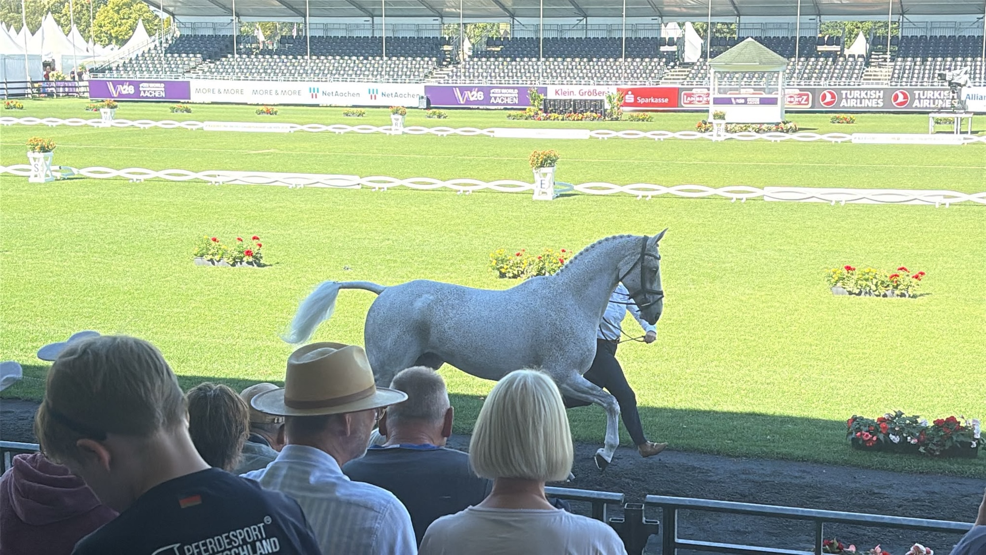 Grey horse trotting up at aachen world champs