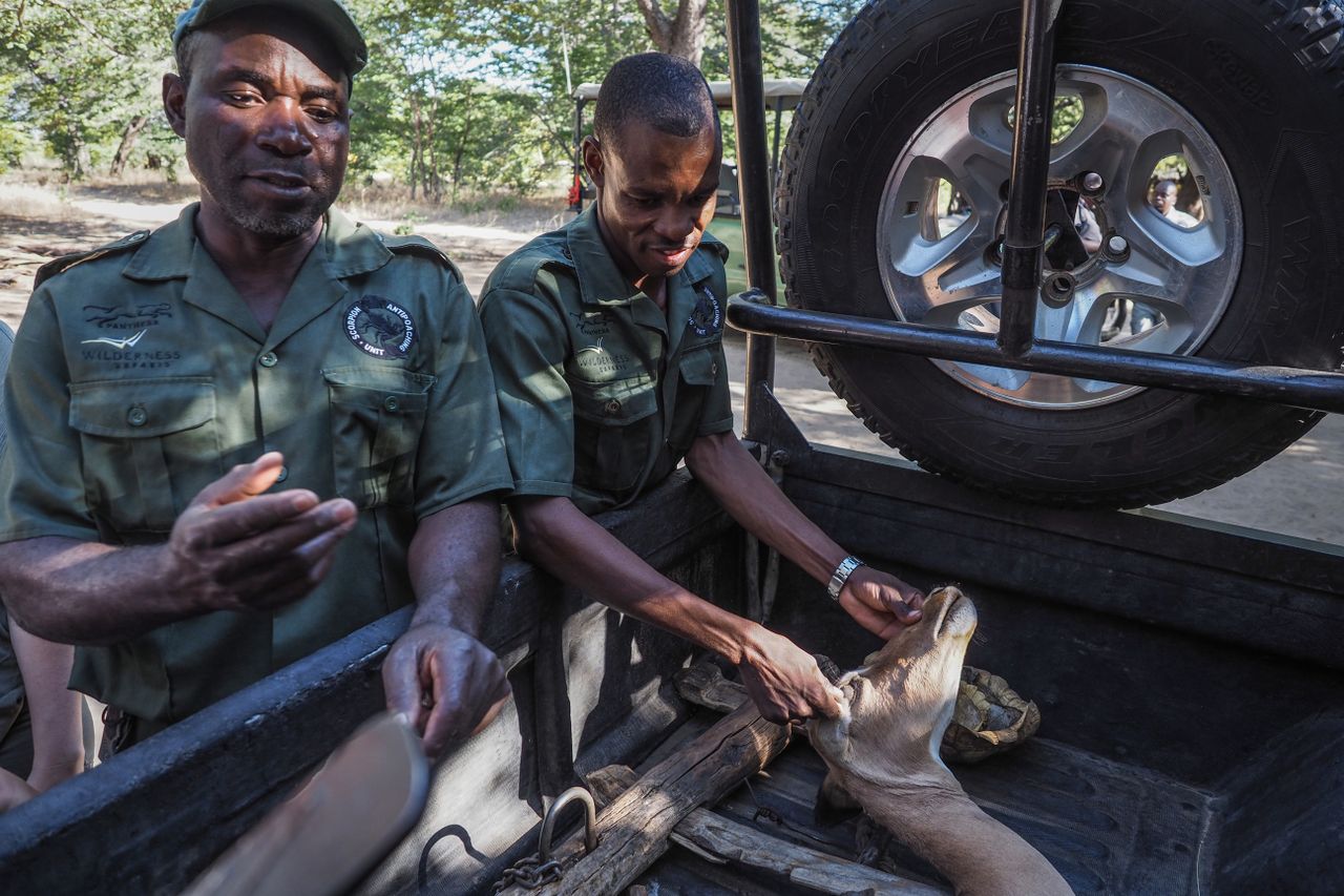 Anti-poaching unit apprehending poachers with a truck full of contraband