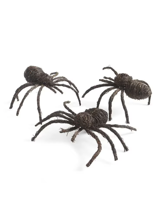 Grapevine Spiders, Set of Three