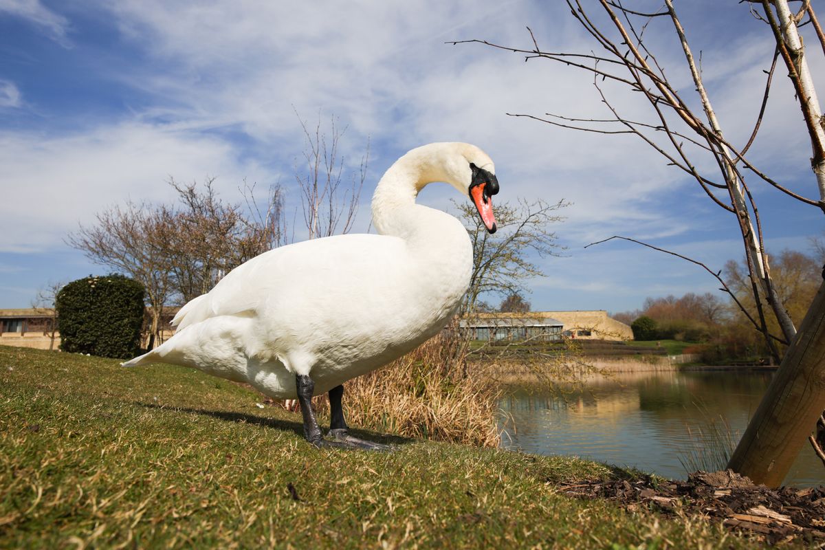 Sample image taken on the Canon EOS R5 with the Canon RF 20mm f/1.4L VCM lens