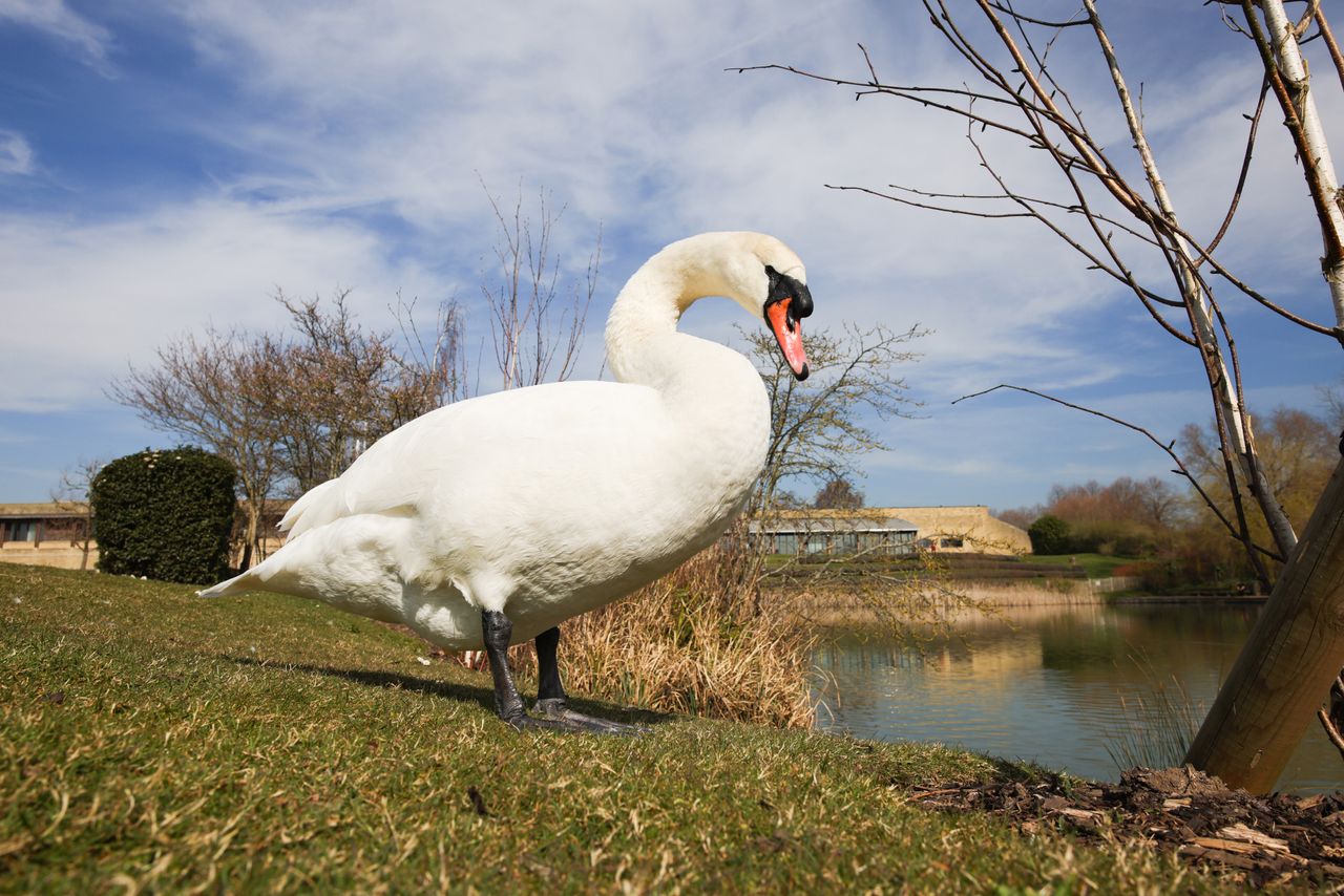 Sample image taken on the Canon EOS R5 with the Canon RF 20mm f/1.4L VCM lens