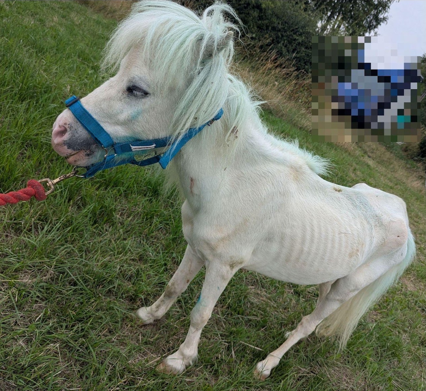 Casper2