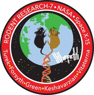A flight patch created for the RR-7 investigation.