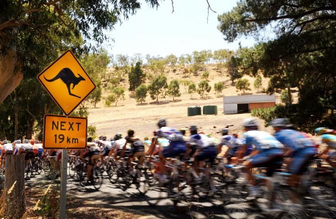 Watch out for kangaroos over the next 19km