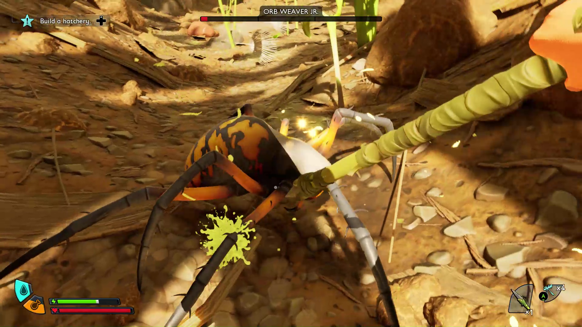 The player fights an Orb Weaver Jr. spider while looking for Acorns in Grounded 2