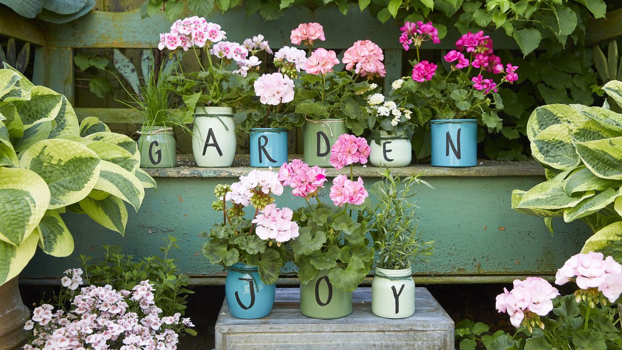 Bright pelargonium plants in individual painted pots spelling out &#039;garden joy&#039; in painted letters