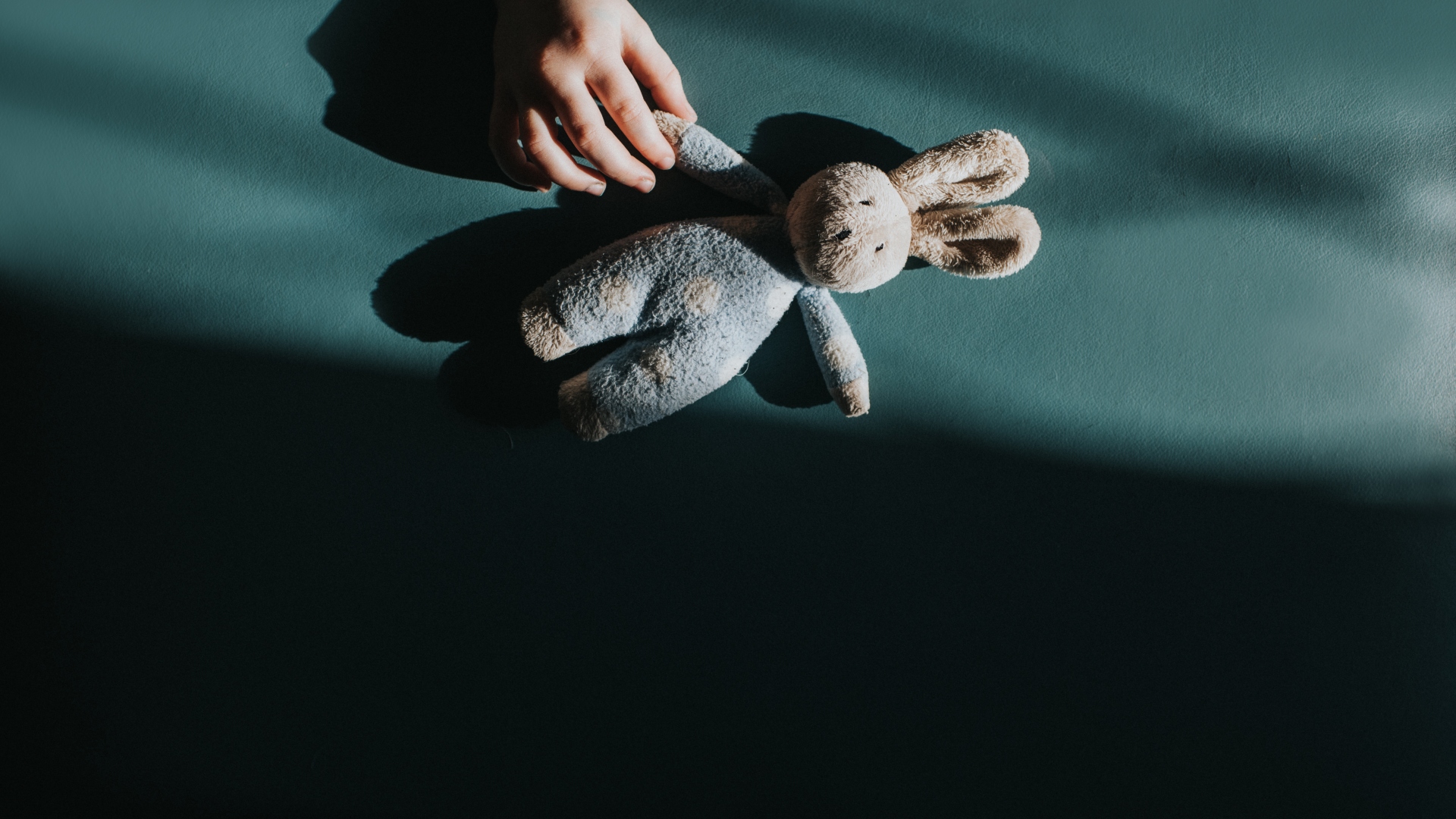 A child's hand holding a toy rabbit