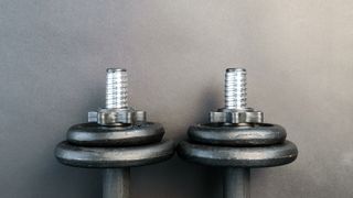 Adjustable vs fixed weight dumbbells: Image of adjustable dumbbells