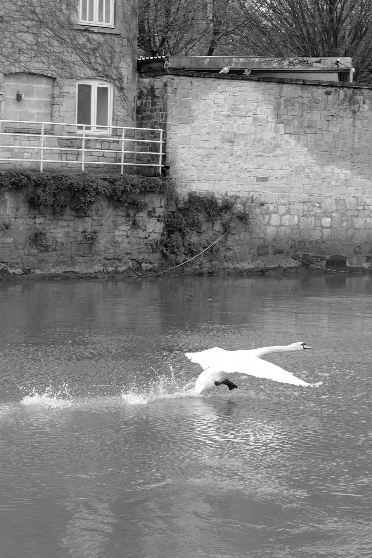 A photo taken on a Leica Q3 Monochrom black-and-white camera