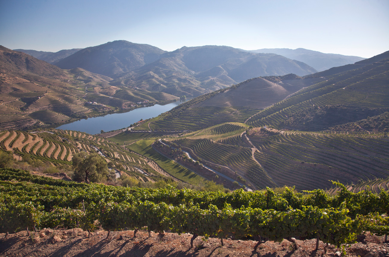 Vineyards on hillsides of a river valley