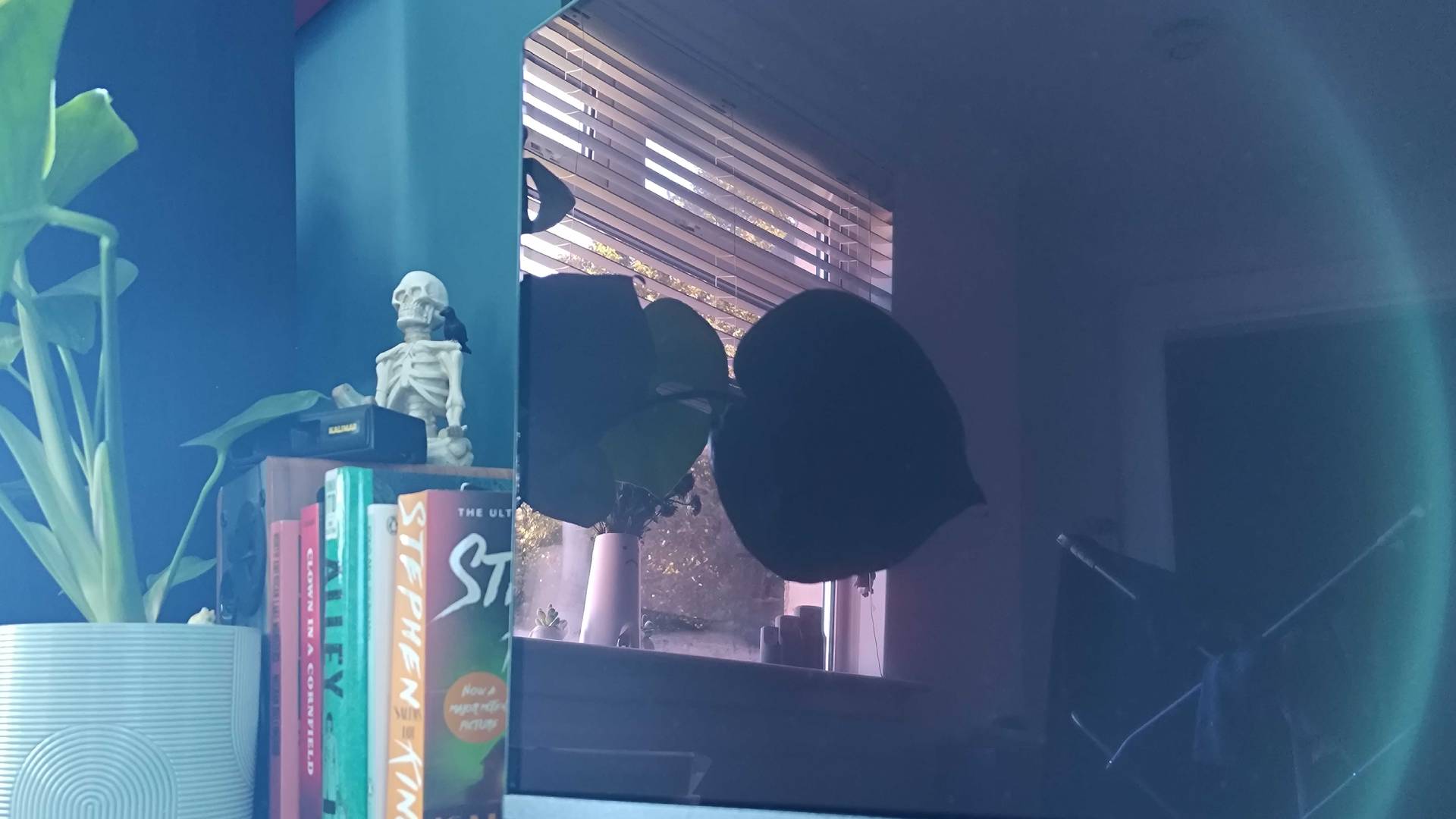 Alienware AW2726DM monitor angled towards south facing window with reflections on screen.