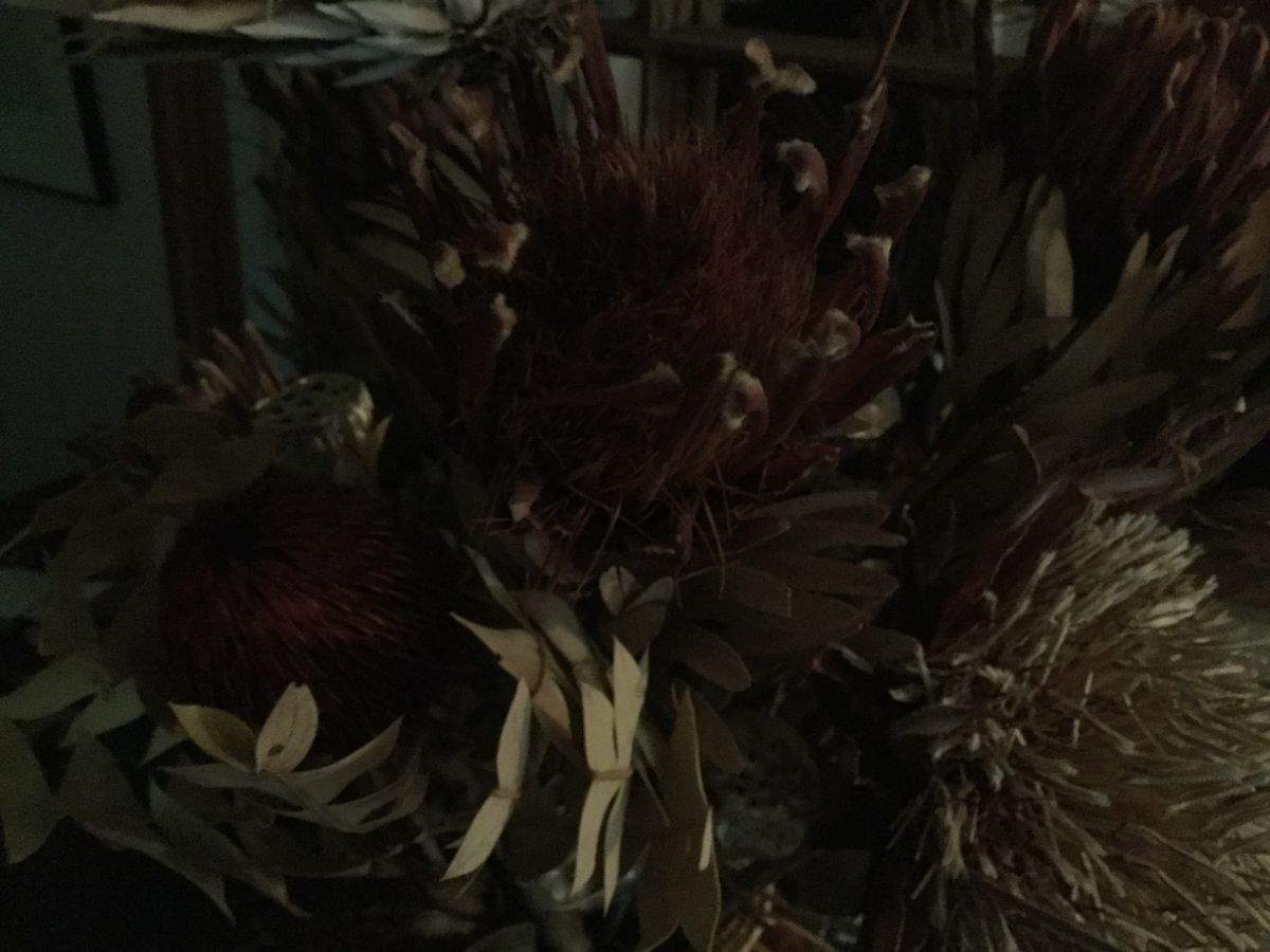 iPad Air 2 low light