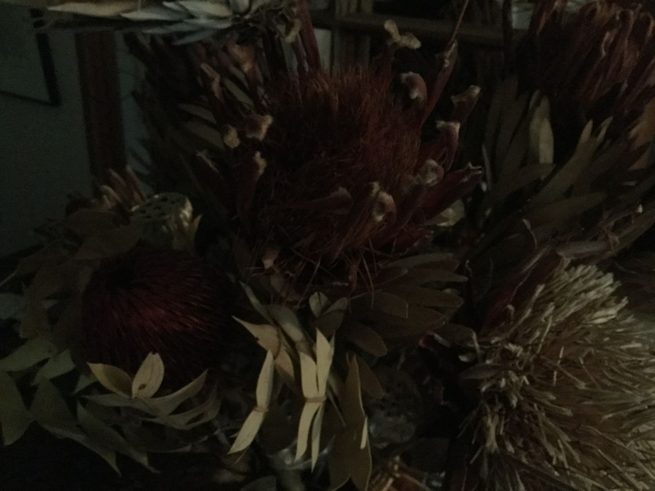 iPad Air 2 low light