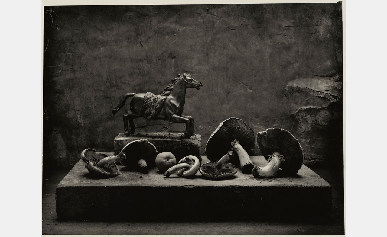 Don McCullin still life from the exhibition Don McCullin in Rome at Palazzo Esposizioni Roma