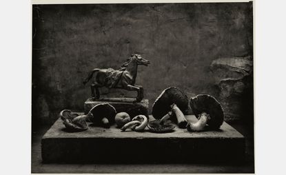 Don McCullin still life from the exhibition Don McCullin in Rome at Palazzo Esposizioni Roma