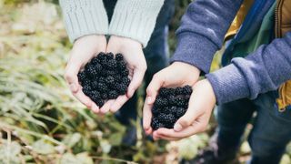 two people holding berries