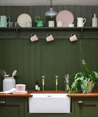 kitchen area with sink and wooden worktop with shelves and plant on pot