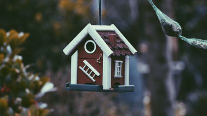 best birdhouse