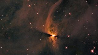 A star just being born in a nearby dusty nebula has been photographed by the Hubble Space Telescope.