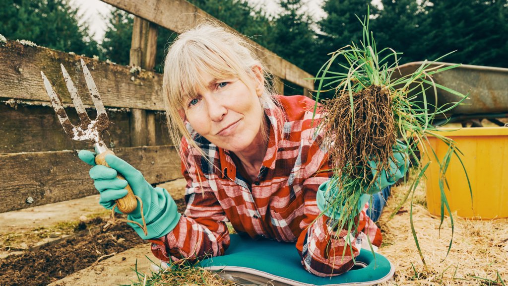 A frowning woman pulls weeds while on her stomach