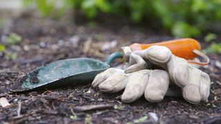 A pair of dirty gardening gloves next to a trowel in the soil