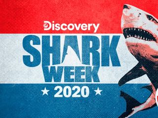 Discovery Shark Week 2020 Hero