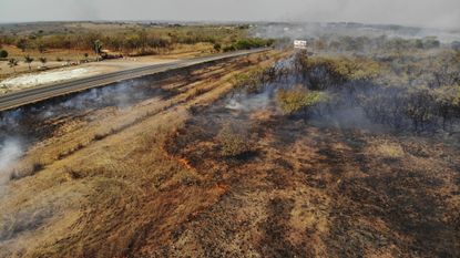 A burned field in Brazil.