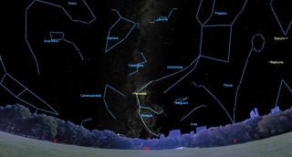 A low, warped horizon of trees stand below a vast night sky. Blue lines connect stars to form constellations, which are all labeled.