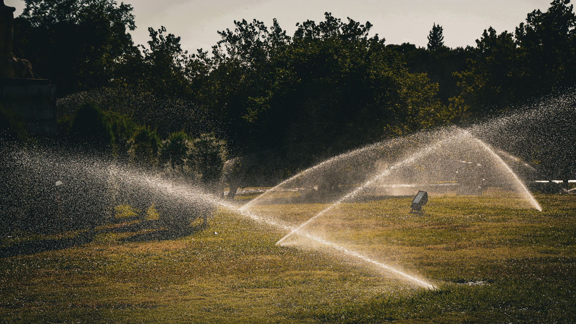 a lawn being watered by sprinklers
