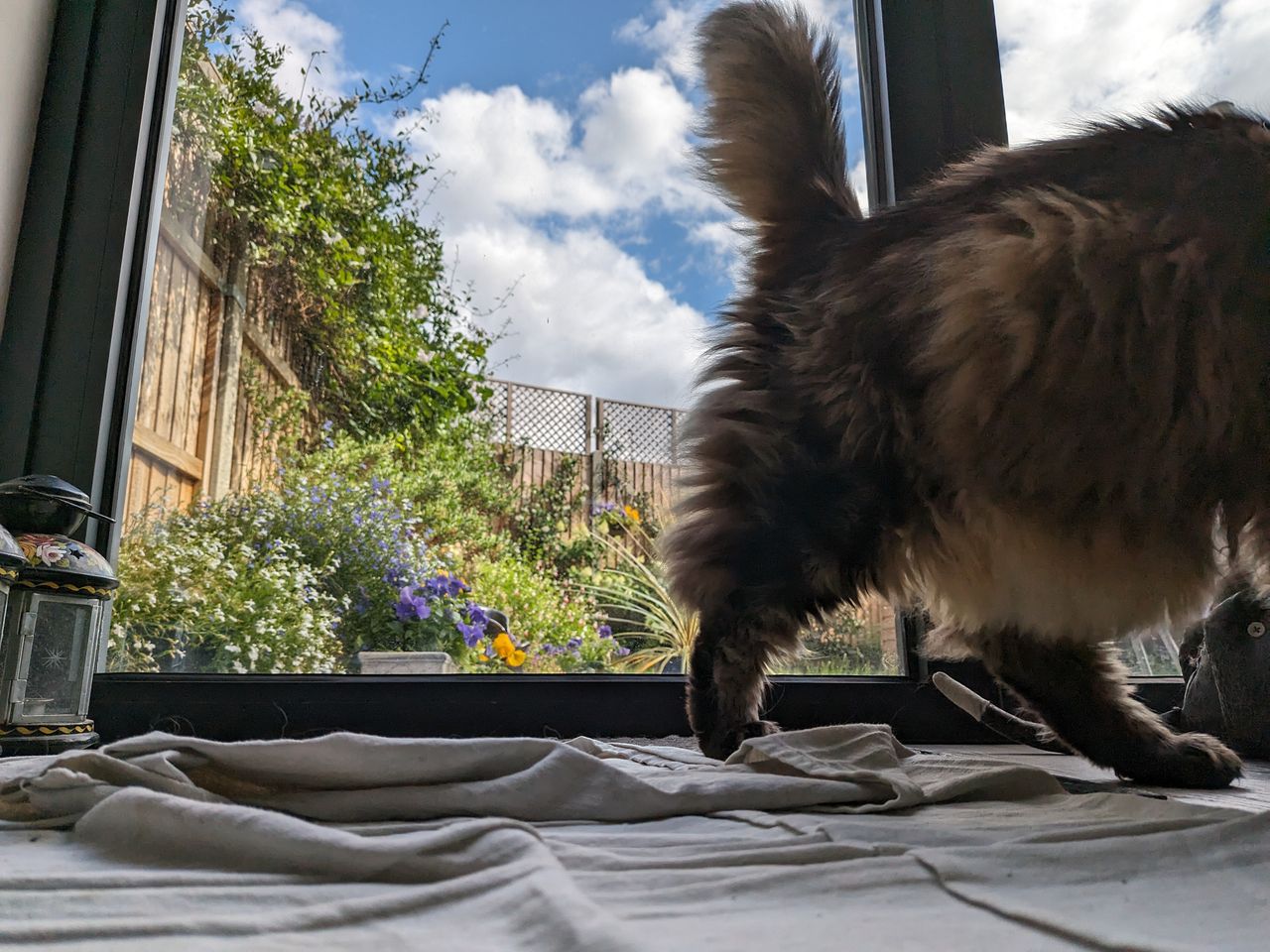 A photo captured on the Google Pixel Fold
