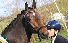 Tahley-Reeve-Smith-Sharola-Show-Star.jpg