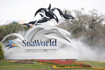 The entrance to SeaWorld in Florida