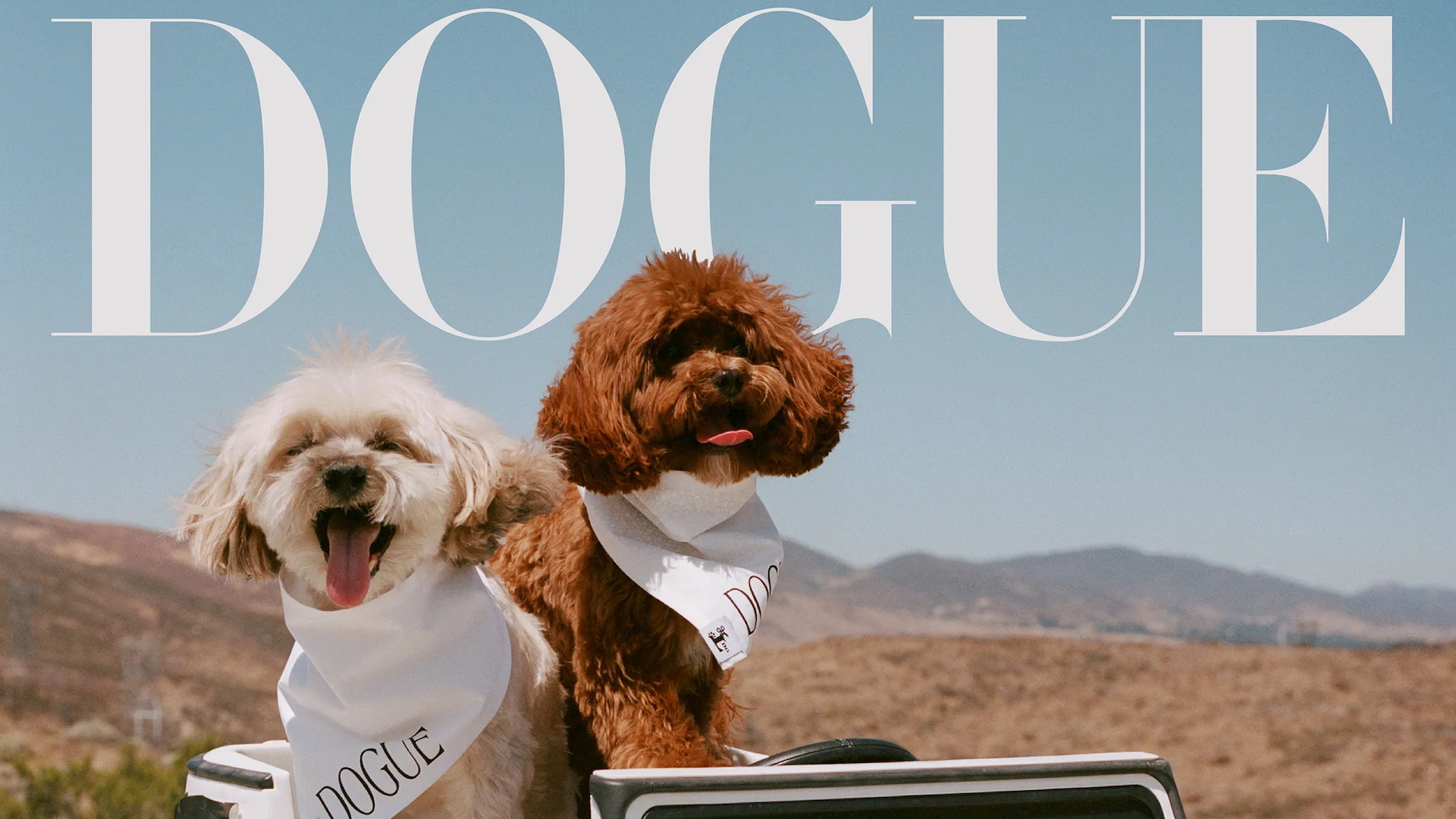 Dogue Magazine cover