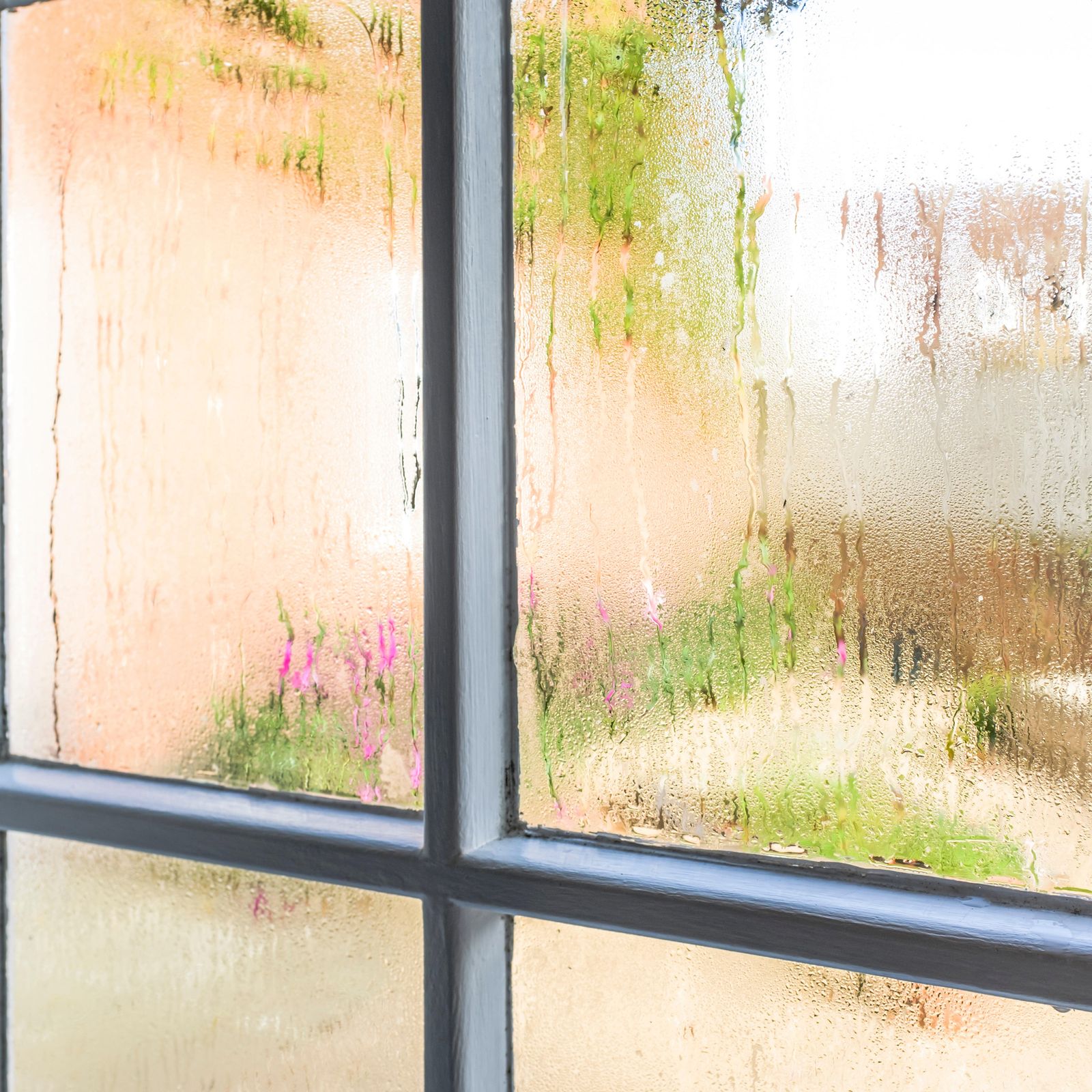 How to stop dampness coming through walls Ideal Home