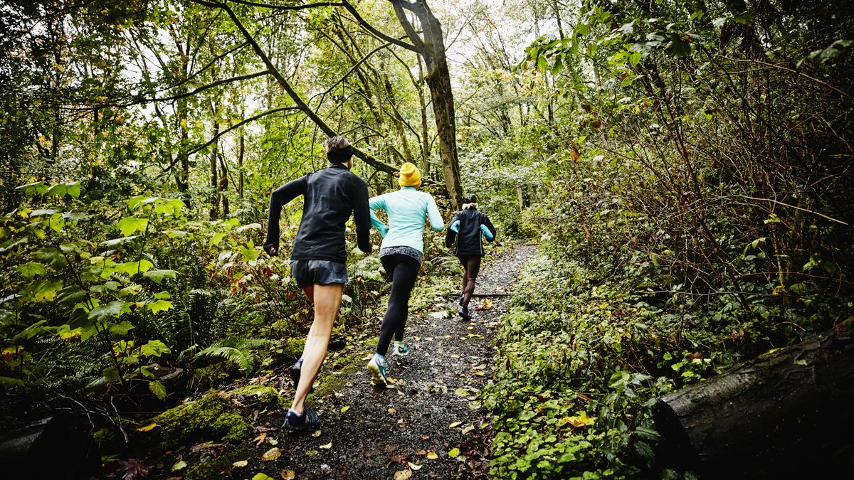 Three women running together through a forest