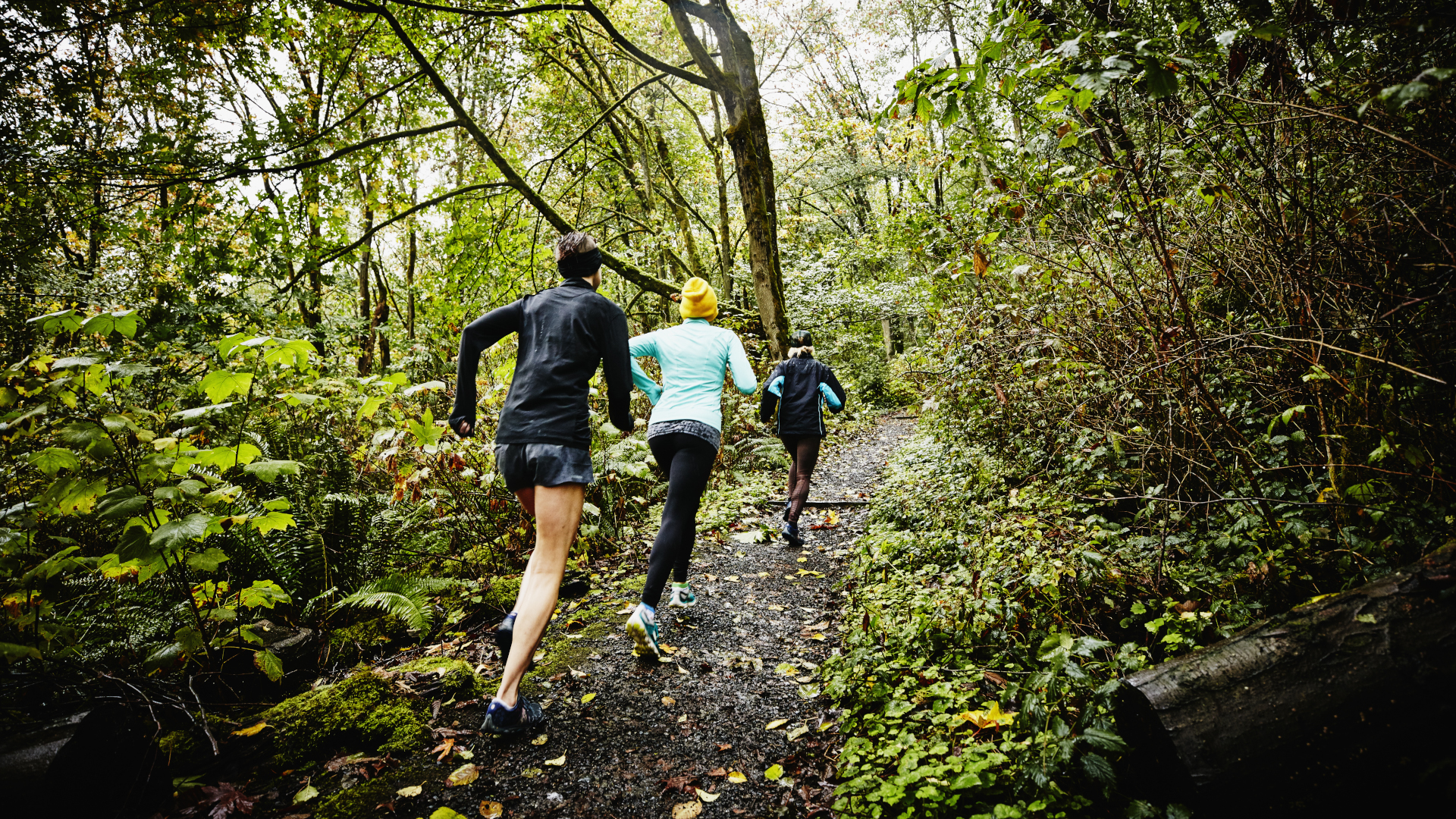 Women's Running Clothes - Sundried